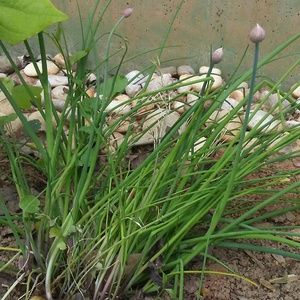 Meet your Posher, Ben